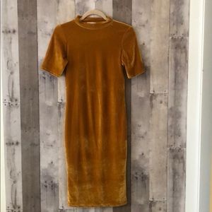 Gold velvet bodycon dress